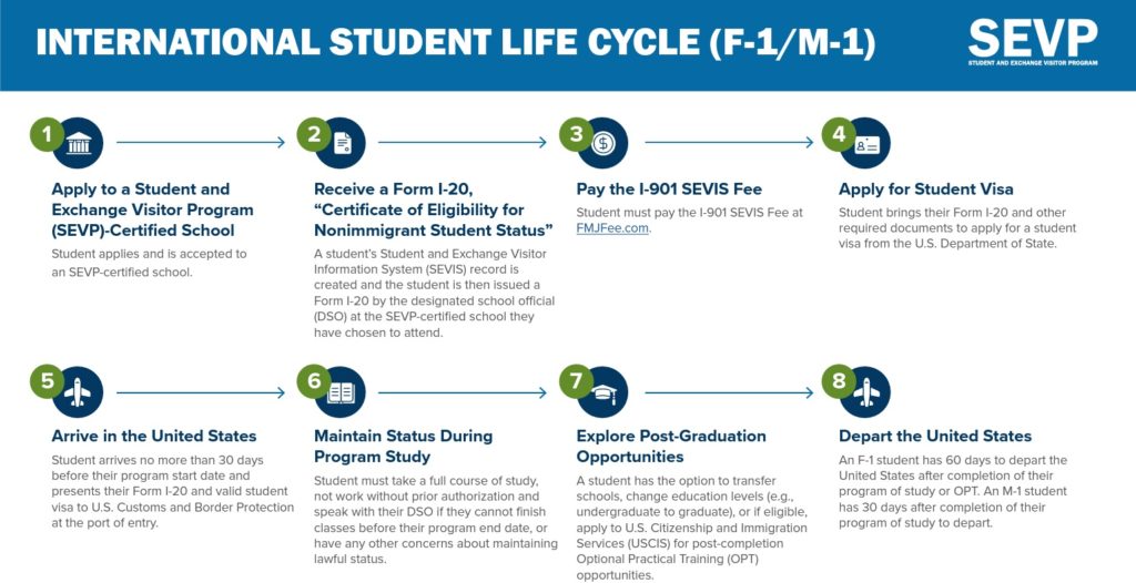 International Student Life Cycle